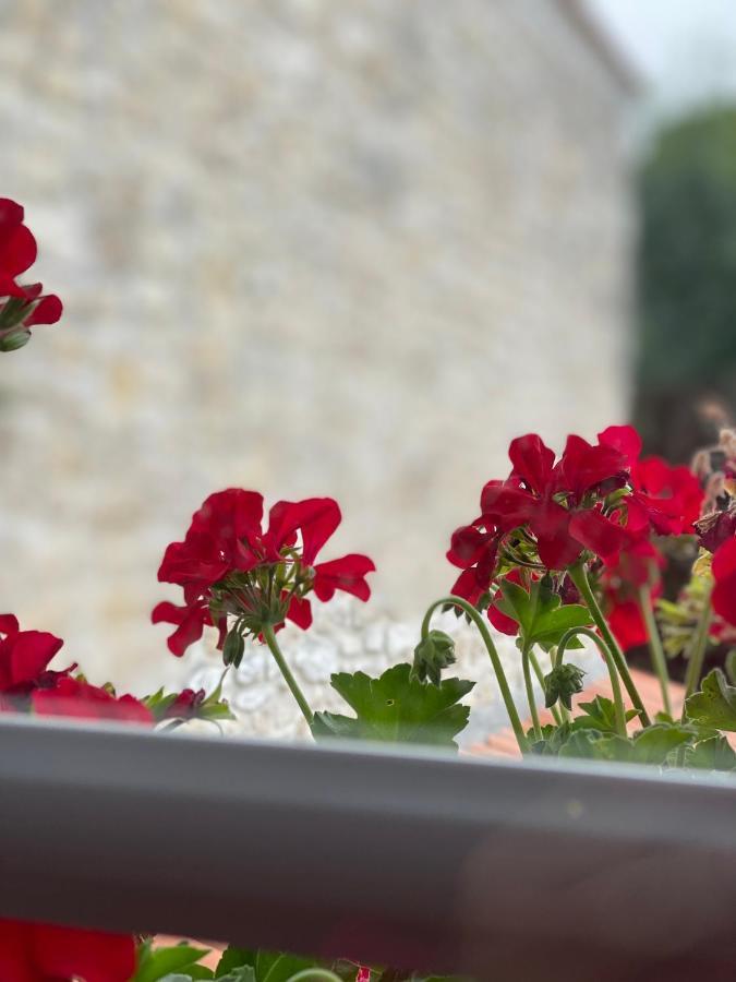 Le Vieux Moulin Bed & Breakfast Bouhet Exterior photo